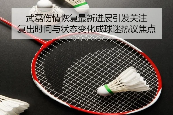 武磊伤情恢复最新进展引发关注 复出时间与状态变化成球迷热议焦点（aiyouxi）